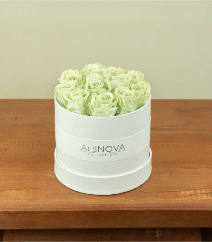 Flower Box - Rose Stabilizzate - Colore Verde