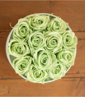  Flower Box - Rose Stabilizzate - Colore Verde