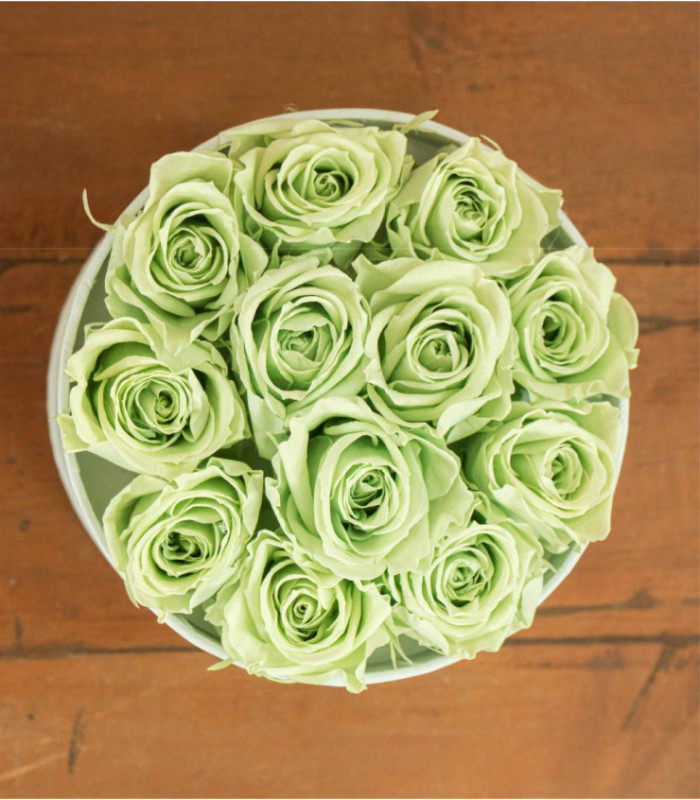  Flower Box - Rose Stabilizzate - Colore Verde