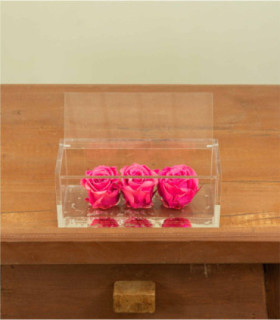 Trilogy - Rose Stabilizzate - Colore Fucsia