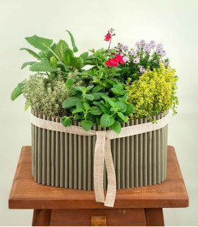 Giardino Aromatico - Mix di Aromatiche