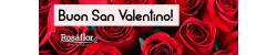 
			                        			Buon San Valentino