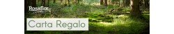 
			                        			Forest - Carta Regalo