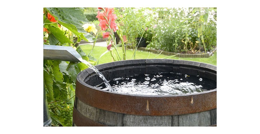 10 Idee per Annaffiare e Risparmiare Acqua