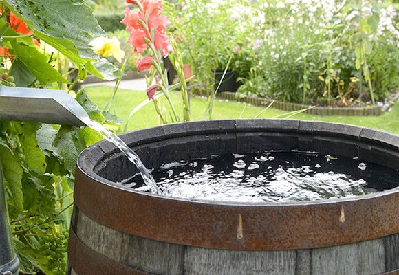 10 Idee per Annaffiare e Risparmiare Acqua