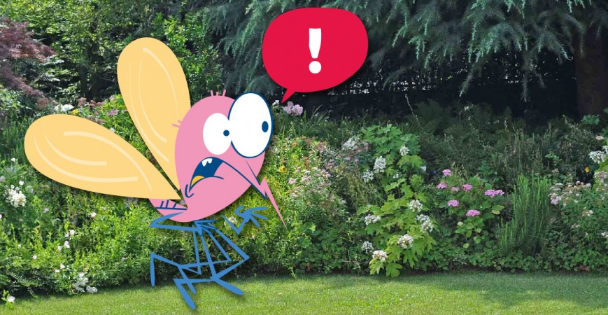 Come Allontanare le Zanzare dal Giardino: 8 Rimedi Efficaci