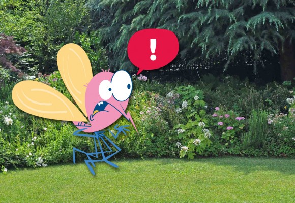 Come Allontanare le Zanzare dal Giardino: 8 Rimedi Efficaci