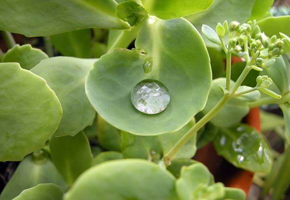 Perché è Indispensabile Risparmiare Acqua