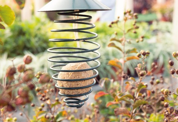 Birdgardening. Come attirare i Volatili nel proprio Giardino