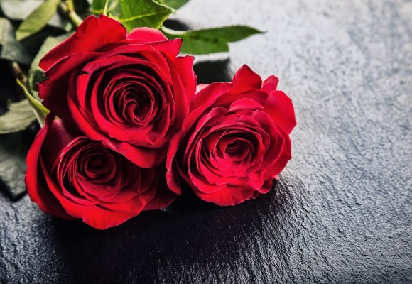 3 rose rosse significato dei fiori: a san Valentino e non solo