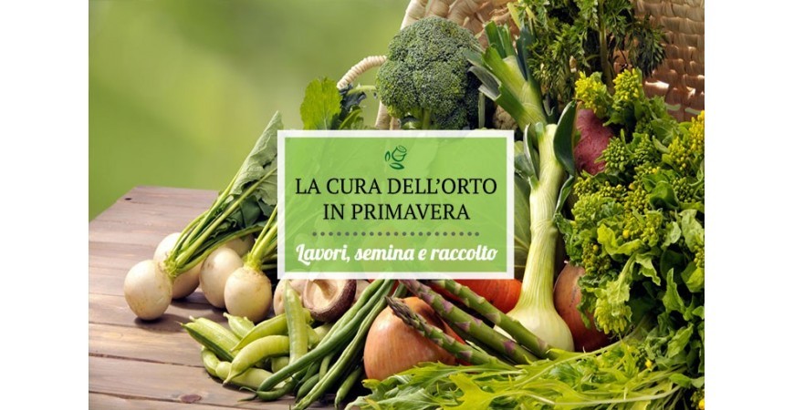 Cura dell’orto in primavera