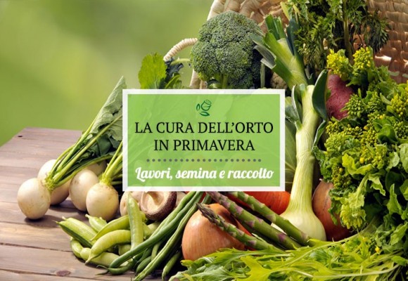 Cura dell’orto in primavera