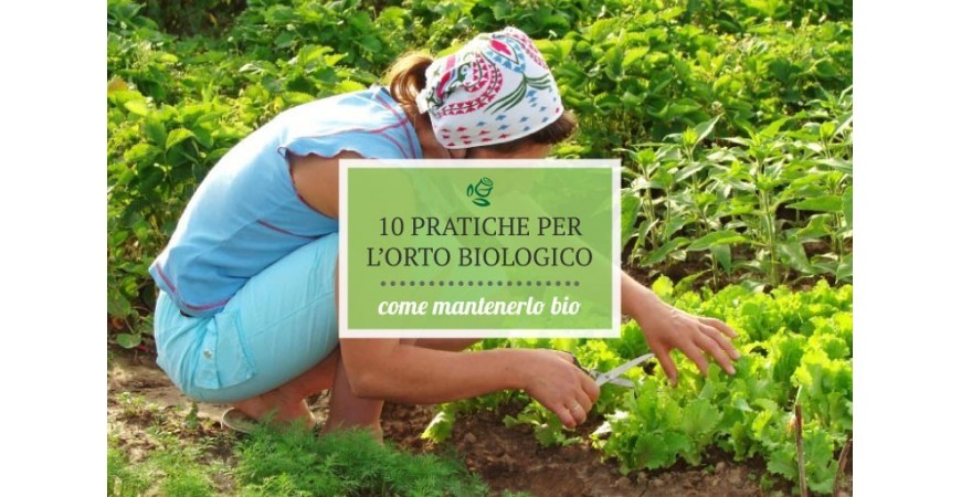 10 buone pratiche per mantenere l’orto biologico