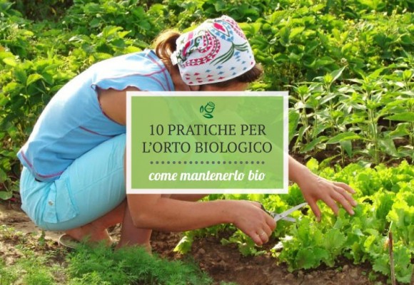 10 buone pratiche per mantenere l’orto biologico