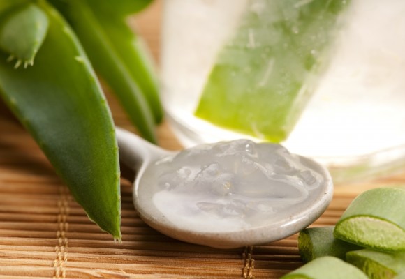 Aloe: controindicazioni