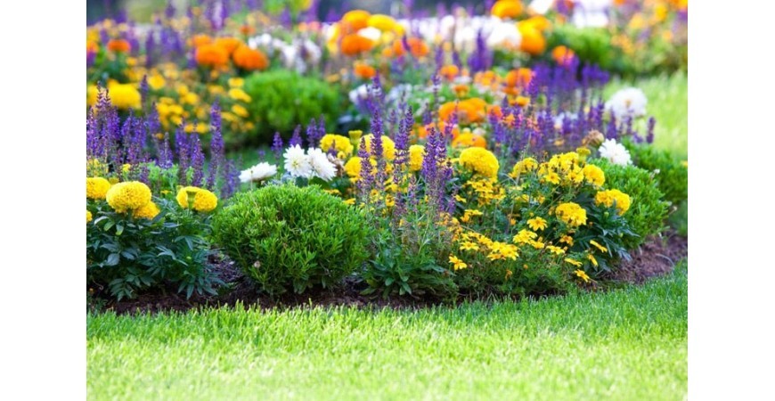 7 consigli per una bellissima aiuola perfetta